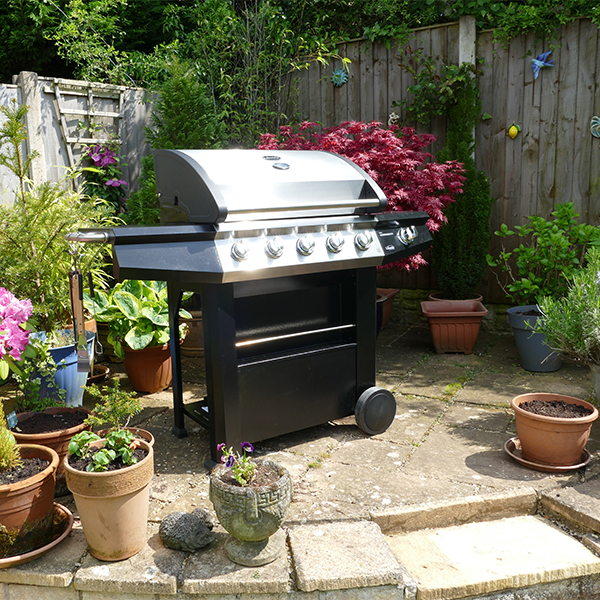 Dominica 5+1 Gas Burner BBQ